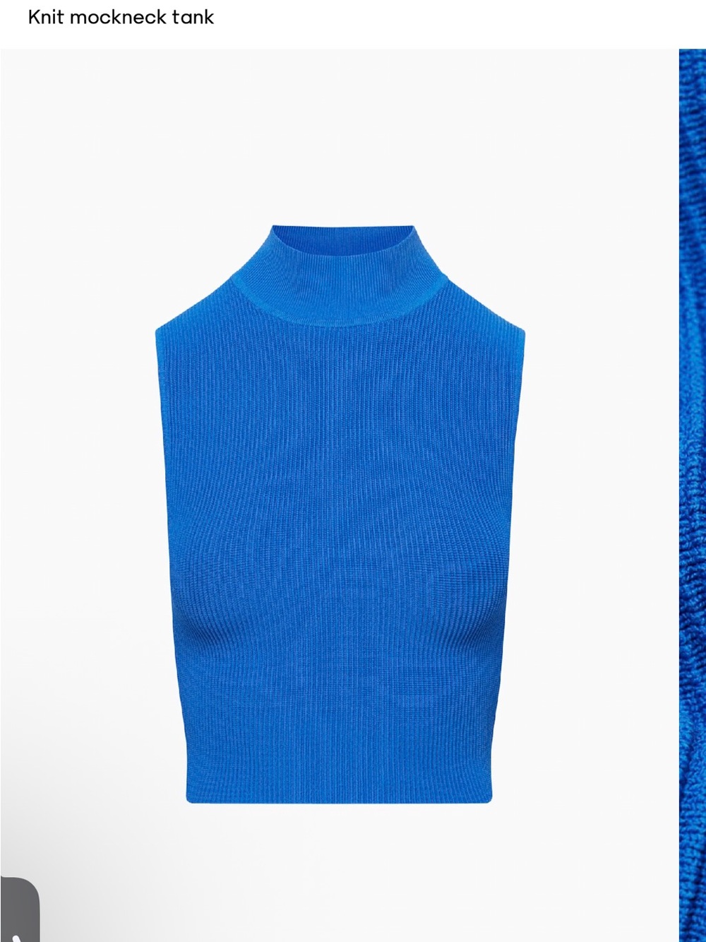 New Babaton
Sculpt Knit Mockneck Tank